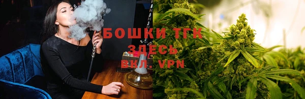 ECSTASY Абаза
