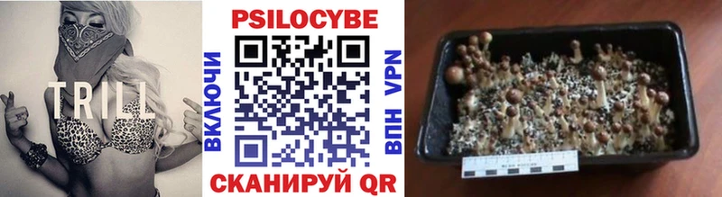 Псилоцибиновые грибы мухоморы  Серафимович 